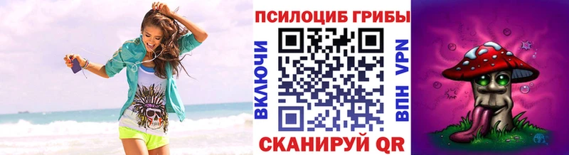 Псилоцибиновые грибы Psilocybine cubensis  Ленинск 